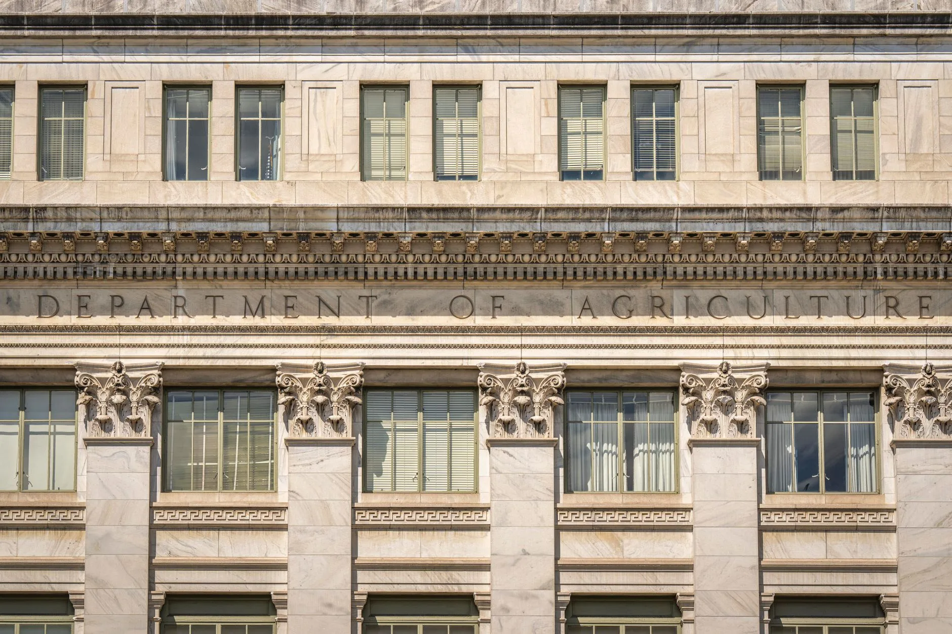 USDA Loan With High DTI: Qualification Guidelines and Approval Factors